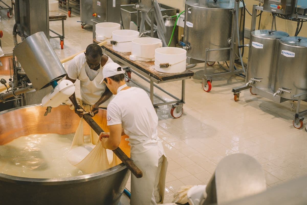 Dairy: two people working at the vat